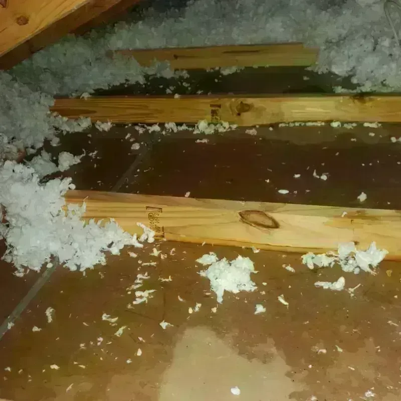 Attic Water Damage in Curry County, NM